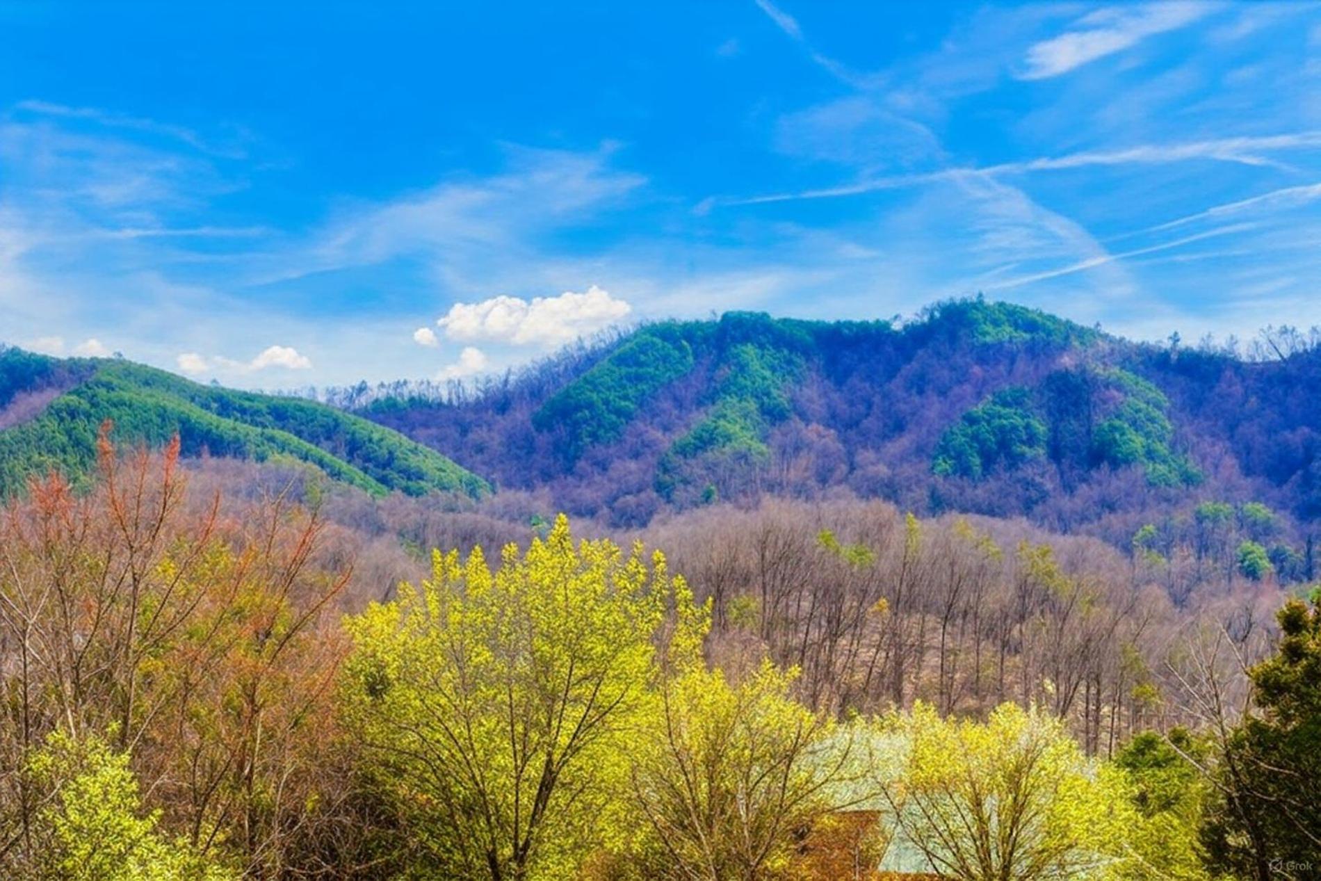 Smoky Bear Lodge With Guest House, Hot Tub, 1089 Free Tickets Each Paid Day, Dollywood And More Sevierville Zewnętrze zdjęcie
