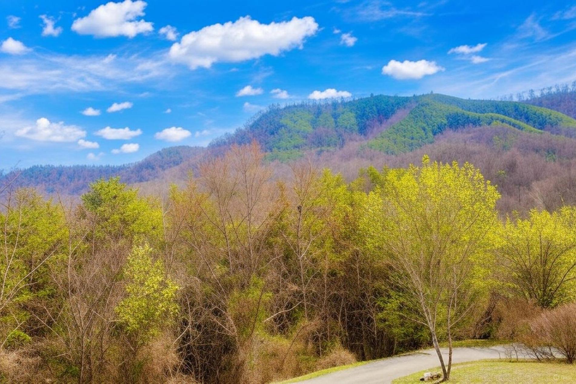Smoky Bear Lodge With Guest House, Hot Tub, 1089 Free Tickets Each Paid Day, Dollywood And More Sevierville Zewnętrze zdjęcie